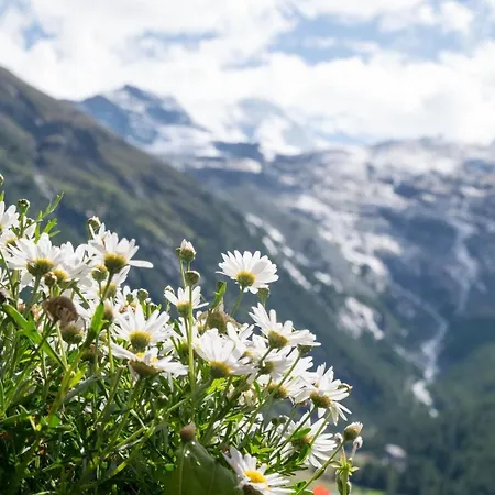 Europa Hotel Saas-Fee