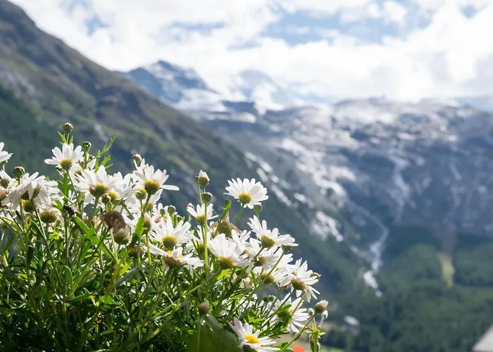 Europa Hotel Saas-Fee