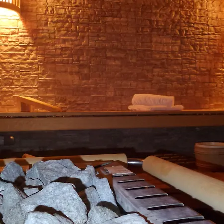 欧罗巴酒店 3* 萨斯费