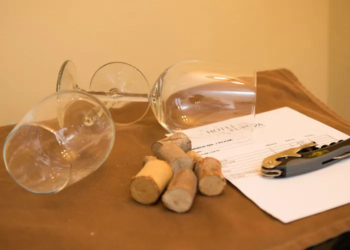 欧罗巴酒店 酒店 3*