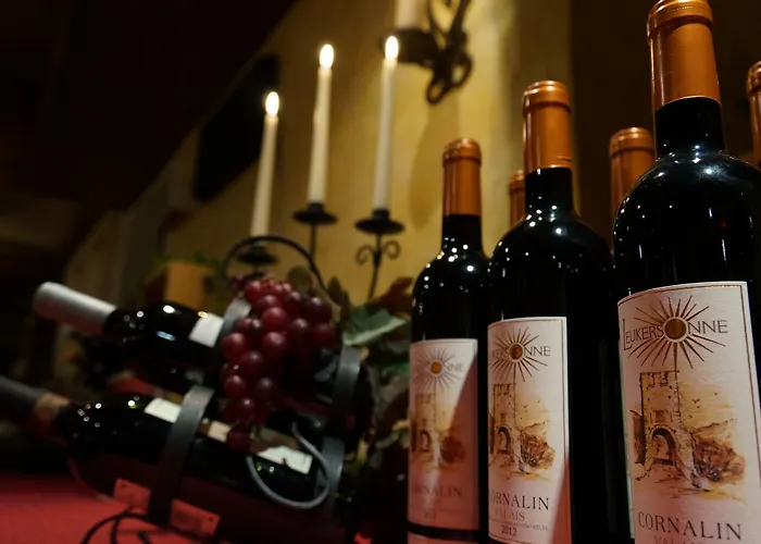 欧罗巴酒店 3* 萨斯费