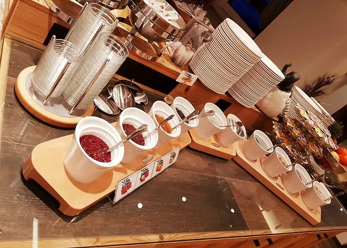 酒店 欧罗巴酒店 萨斯费