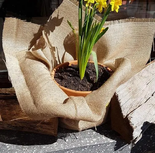 欧罗巴酒店 酒店 3*